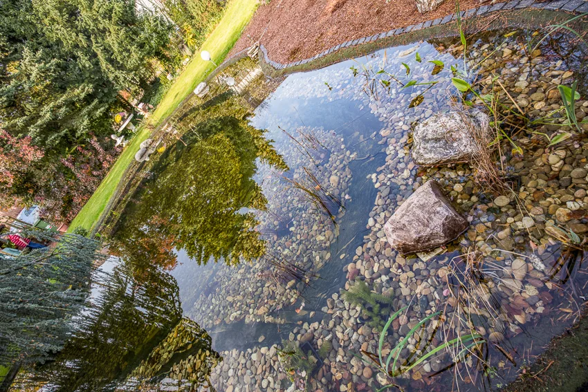 Naturnaher Gartenteich mit Bepflanzung in Biebertal